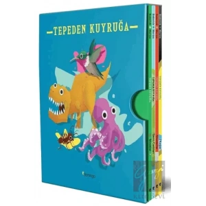 Tepeden Kuyruğa Kutulu Set (4 Kitap)