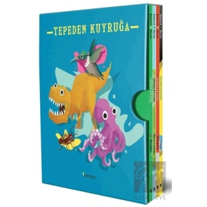 Tepeden Kuyruğa Kutulu Set (4 Kitap)