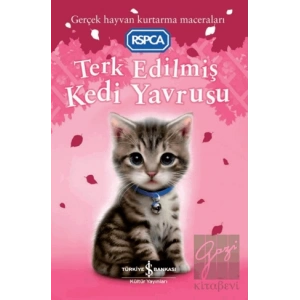 Terk Edilmiş Kedi Yavrusu