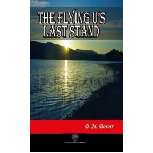 The Flying Us Last Stand