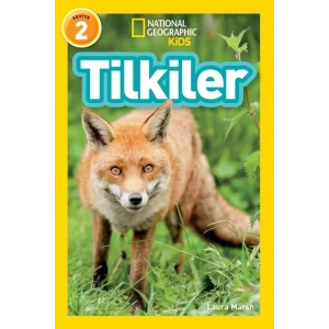 Tilkiler