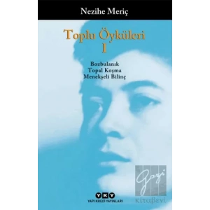 Toplu Öyküleri 1