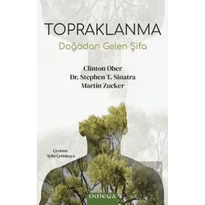 Topraklanma