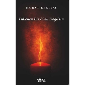 Tükenen Bir / Sen Değilsin