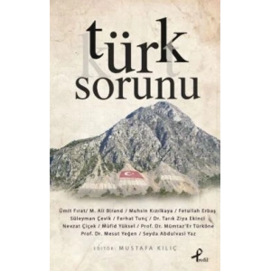Türk Sorunu