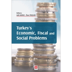 Turkeys Economic, Fiscal and Social Problems