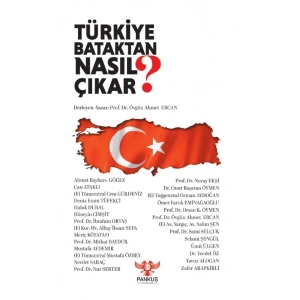 Türkiye Bataktan Nasıl Çıkar?