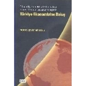 TÜRKİYE EKONOMİSİNE BAKIŞ / BETA
