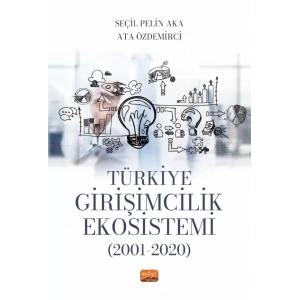 Türkiye Girişimcilik Ekosistemi (2001-2020)