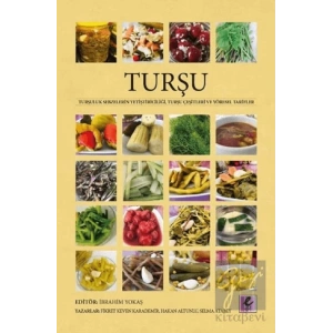 Turşu