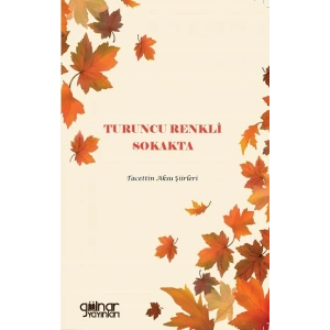 Turuncu Renkli Sokakta