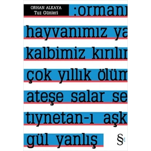 Tuz Günleri
