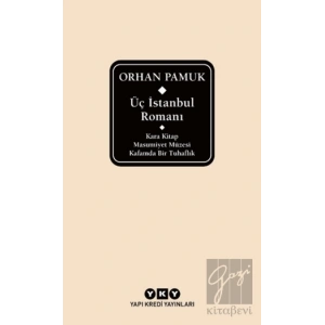 Üç İstanbul Romanı (Şömizli)