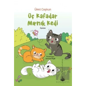 Üç Kafadar Mırnık Kedi