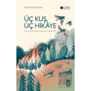 Üç Kuş, Üç Hikaye