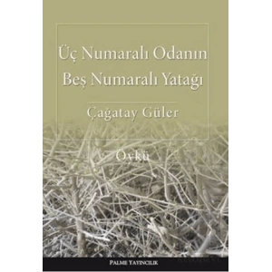 Üç Numaralı Odanın Beş Numaralı Yatağı