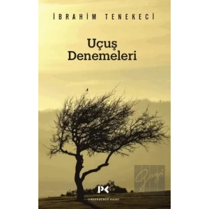 Uçuş Denemeleri