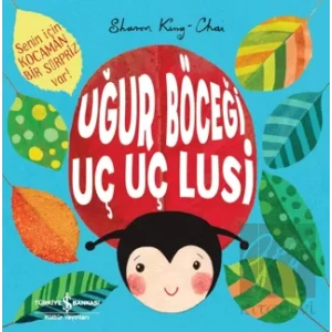 Uğur Böceği Uç Uç Lusi