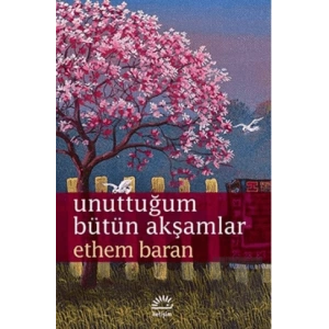 Unuttuğum Bütün Akşamlar