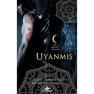 Uyanmış Bir Gece Evi Romanı