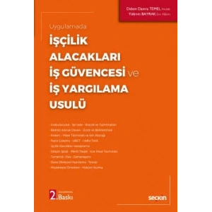 Uygulamadaİşçilik Alacakları – İş Güvencesi ve İş Yargılama Usulü