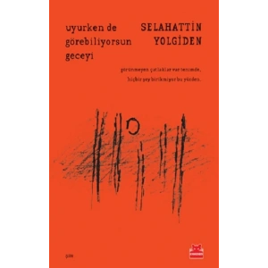 Uyurken de Görebiliyorsun Geceyi