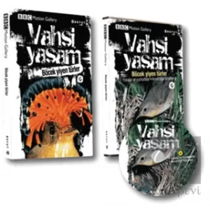 Vahşi Yaşam 2 - Böcek Yiyen Türler