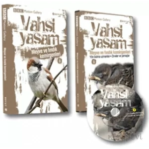 Vahşi Yaşam 2 - Meyve ve Fındık Kemirgenleri