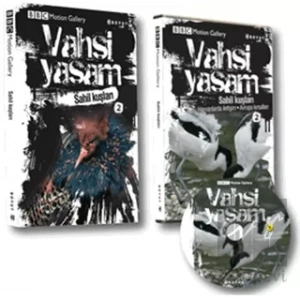 Vahşi Yaşam 2 - Sahil Kuşları