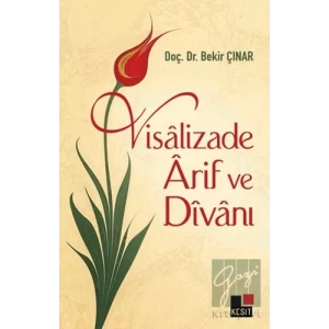 Visalizade Arif ve Divanı