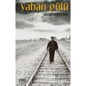 Yaban Gülü