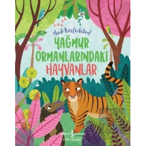 Yağmur Ormanlarındaki Hayvanlar - Hadi Keşfedelim!