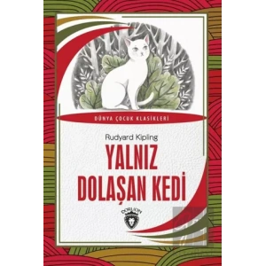 Yalnız Dolaşan Kedi