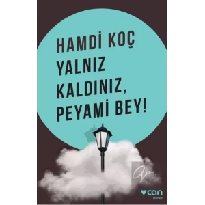 Yalnız Kaldınız, Peyami Bey!