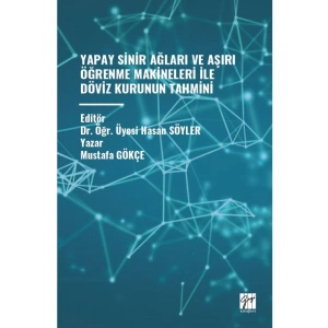 YAPAY SİNİR AĞLARI VE AŞIRI ÖĞRENME MAKİNELERİ İLE DÖVİZ KURUNUN TAHMİNİ