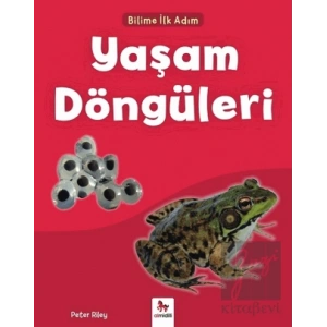 Yaşam Döngüleri - Bilime İlk Adım