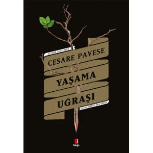 Yaşama Uğraşı