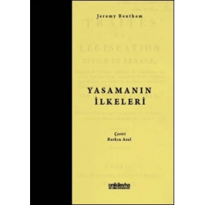 Yasamanın İlkeleri