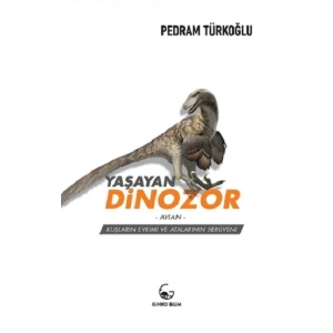 Yaşayan Dinozor Avian: Kuşların Evrimi ve Atalarının Serüveni