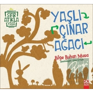 Yaşlı Çınar Ağacı