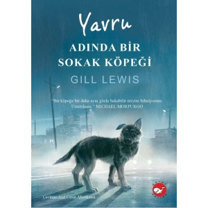 Yavru Adında Bir Sokak Köpeği