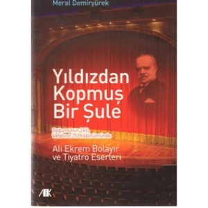 Yıldızdan Kopmuş Bir Şule