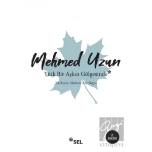 Yitik Bir Aşkın Gölgesinde