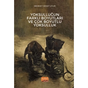 Yoksulluğun Farklı Boyutları ve Çok Boyutlu Yoksulluk