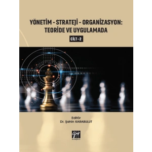 Yönetim - Strateji - Organizasyon: Teoride ve Uygulamada (Cilt 2) - Şahin Karabulut
