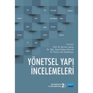 Yönetsel Yapı İncelemeleri