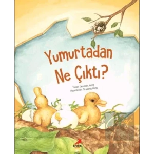 Yumurtadan Ne Çıktı?
