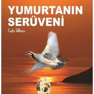 Yumurtanın Serüveni