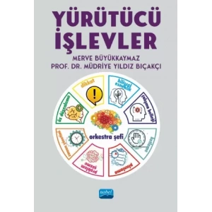 Yürütücü İşlevler
