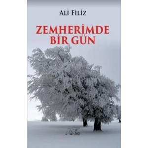 Zemherimde Bir Gün